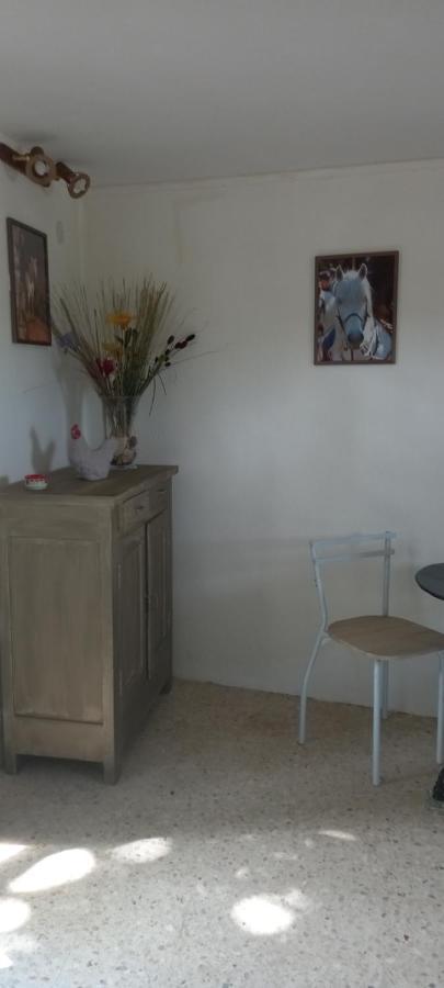 Petite Maison Dans La Campagne A 10 Mn A Pied Du Centre Ville Arles Luaran gambar